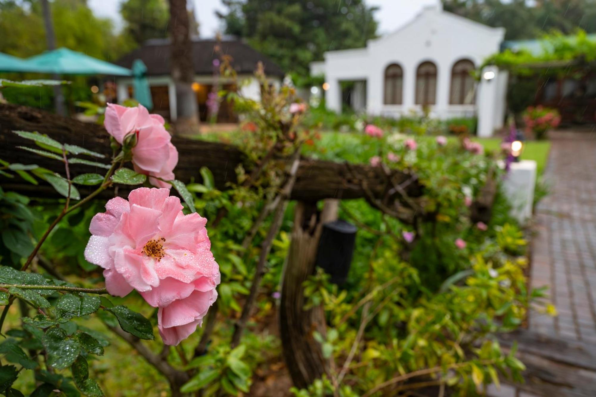 Woodall Country House And Spa 아도 외부 사진